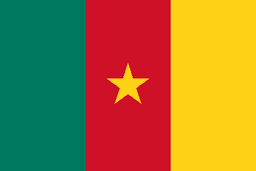 Flag of Cameroon